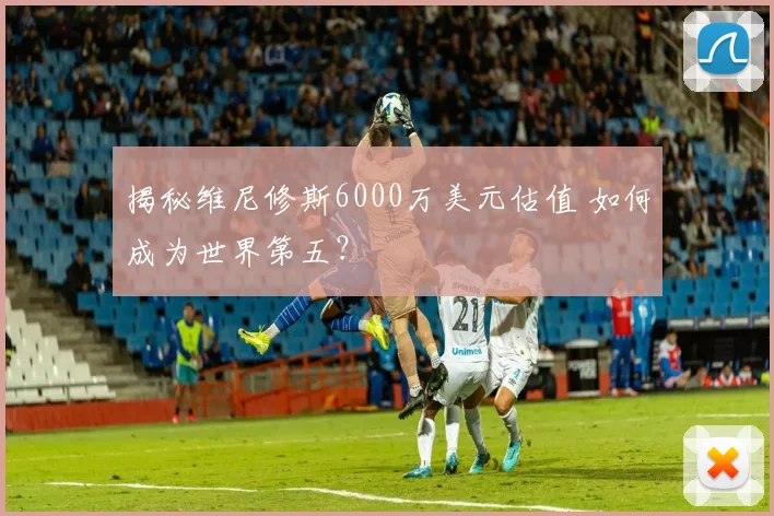 揭秘维尼修斯6000万美元估值 如何成为世界第五？